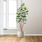 SOGA 4X 180cm Plastic Potted Polyscias Scutellaria Plant Home Garden Artificial Tree, Home Decor APLANTFHJQD18080X4