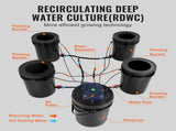 RDWC Hydroponics Grow System, Hydroponic Growing Kit with Top Drip, Recirculating Deep Water Culture V952-SSSPXT41T8INE1FIBV3