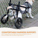 Rooster Farms Large Dog Wheelchair XL Harness - Adjustable Back Leg Aid V238-SUPDZ-41121780236368