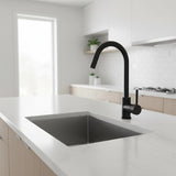 Kitchen Mixer Tap Faucet for Basin Laundry Sink V63-826301