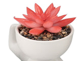 4Pcs Artificial Succulent Plant Cute Ceramic Faux Succulent Flower Pot Decoration Set for Office V1294-YM0901-3115240013111