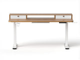 Artiss Electric Standing Desk Height Adjustable Sit Stand Desk Home Office HASD-ET156E-SHELF-WD-AB