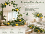 Style B 3 Fork Eucalyptus Lemon Vine Indoor Decor Set of 2 V1221-XM-LB1000-ZS20