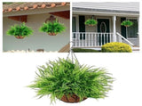 Artificial Hanging Outdoor UV Resistant Boston Fern with Basket, Greenery Hanging Planter for Patio V1366-AZ2-W-16646