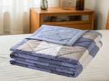 AYktou Reversible Patchworks Queen Size, 78.74x59.05in Lightweight Plaid Bedspreads Coverlets V1189-WXFWAL-20260326-03118
