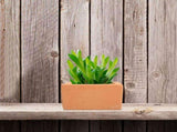 Red Pottery Flowerpots Brown for Decor Chic Small Household 3Pcs V1370-AZ4-19628