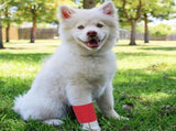 24 Rolls Self Adhesive Bandage Wrap 3 Inch x 5 Yards - Stretch Cohesive Medical Tape for Vet, First V1366-AZ2-W-12352