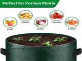 10 Gallon 6-Pack Grow Bags, Durable PE Fabric Pots with Flap and Handles, Green Planter Bags for V1107-CS-OLGPFGG25