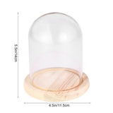 Transparent Flower Glass Cover with Wooden Base for DIY Flower Display and Home Decoration V1366-AZ2-W-12386