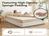 Artiss Compression Bed Frame Queen Size No Assembly Vacuum High Density Sponge Boucle Cream White BED-FOAM-BASE-Q-WH