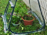 Mini Waterproof Garden Plants & Flowers Cover Tent Transparent PVC Greenhouse V1294-YM0722-JYB02612