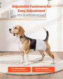 VEVOR Disposable Male Dog Diapers Super Absorbent Male Dog Wraps S 144 Count V952-CWNBFDGG144P3H0UP001V0