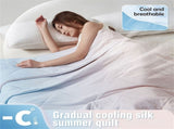 Cozy Bliss Cooling Blanket for Hot Sleepers, 0.4 Cooling Comfort Throw Twin Size,Cold Blankets for V1370-AZ4-24347