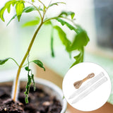 Indoor Plant Support Sticks, Climbing Plant Gardening Tool, 2 Sets for Healthy Growth and Stability V1370-AZ4-14006