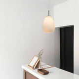 Briella Glass Pendant Light V558-LL002PL067