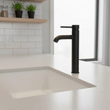 Tall Basin Mixer Tap Faucet -Kitchen Laundry Bathroom Sink V63-826181