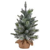 Christabelle 61cm Pre-Lit Snowy Stamford Spruce Battery-Operated Mini Christmas Tree Multi-Func 112_NATSS2