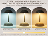 Modern Table Lamp Mushroom Shape Nightstand Lamp Touch Control LED Desk Lamp Cordless Bedside Lamp 3 V1294-YM0901-LW015GY