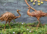 Set 2 Large Assorted Emus Garden Statue 37x58cm V637-71290EMU