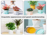 Small Flower Plant , 6-Piece Plastic Starter Pots for Garden V1192-AZ-W-18747
