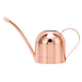 Watering Can for House Bonsai Garden Flower Outdoor Indoor Plants Long Spout Pot Stainless Steel V1294-YM0626-3111220315711