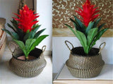 Nordic Foldable Seagrass Storage Basket Patchwork Seagrass Garden Flower Pot Planter Laundry Basket V1294-YM0717-10124611