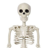 2PCS Skeleton Decorations 35.4 Inch Plastic Posable Spooky Full Body Skeleton Haunted House Prop for V1294-YM0901-3115240091911