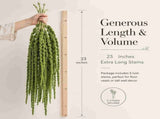 5Pcs Bleached Amaranthus Hanging Flowers, 23" Light Green Dried Preserved Hanging Wisteria Flowers V1192-AZ-W-17956