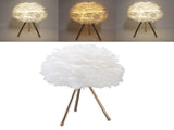Feather Table Lamp Adjustable Color Brightness Rechargeable Touch Control Decoration Night Light V1294-YM0716-3119220111511