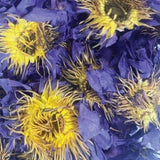 Orku 400g Dried Blue Lotus Flowers - Whole Open Lily Nymphaea Caerulea V238-SUPDZ-40548248191056