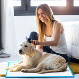 200pcs Dog Absorbent Training Pad 60 x 60 cm V915-MB0045X2