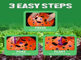 Round Seed Planting Template by Patented Color-Coded Garden Spacing Tool Kit with Seed & Seedling V1258-DP02-C-266