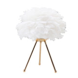 Feather Table Lamp Adjustable Color Brightness Rechargeable Touch Control Decoration Night Light V1294-YM0716-3119220111511