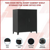 Two-Door Metal Short Cabinet Shelf Storage for Home Office Gym V63-844411