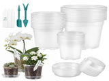 30Pcs Clear Nurserys with Multiple Drainage Holes & Dedicated Tray Transparent Seedling Flower V1366-AZ2-W-15051