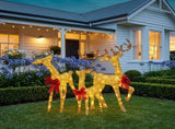 Christabelle 3 Reindeer Family Christmas Light Up Display 1.25m Gold Mesh Animated Outdoor Indo 112_SHE206