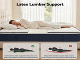RoomSense Queen Mattress , 30cm Medium Firm Hybrid Mattress with Latex Lumbar Support for Back Pain XFKF-MA-1667-30-Q