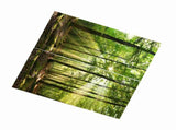 Forests Sunlight Printing Shading Curtains for Balcony Bedroom Drawing Room Window 170 * 200cm V1294-YM0901-JY35918-02