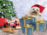 Set of 3 Lighted Gift Boxes With Plug For Decor Weddings Yard Home Holiday Art V1370-AZ4-12177