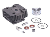 40mm Cylinder Piston Spark Plug Bearing Kit Replacement 4134 020 1214 for STIHL FS250 FT250 HT250 V1294-YM0710-3111210295611