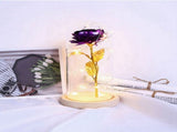 LED Rose Bedside Lamp Glass Night Light Birthday Gift Home Decoration V1294-YM0901-ZM03129-02