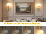 Rechargeable Wall Light Indoor,Battery Operated Wall Lamp with Remote,Indoor Wall Light with 3 Color V1171-CB-WLG-SQUARE-CCT-RGB-USB2