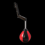 Speed Bag Punching Boxing Bag Wall Mount Reflex Training V63-842341