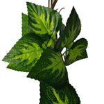 Artificial Pothos / Ivy Hanging Vines 260cm Each V77-1158896