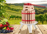 1.6 Gal/6L Fruit Wine Press, Solid Wood Basket with 8 Blocks, Heavy Duty Manual Juice Maker, Cider V952-GJYZJLSSM6LB7BMXAV0