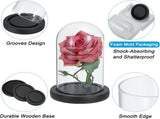 Glass Dome with Black Wooden Base - Clock Shaped Display Case - Home Decor - Desk Ornament V1258-DP02-BOL-433