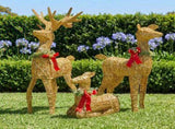 Christabelle 3 Reindeer Family Christmas Light Up Display 1.07m Rich Gold Animated Outdoor Indo 112_SHE205