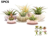 Tutuviw 5 Pcs Mini Sea Urchin Shell Air Plant Holders,Decorative Hanging Air Plant Pot, Tillandsia V1189-WXFWAL-20260319-00169