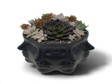 Urban Attitude Face Planter - Matte Black V398-UA-UT260608BLK