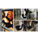 21.5cm Cattle Drinking Bowl - Iron Cast Mounted Automatic Water Cow Horse Trough V238-SUPDZ-31381957214288